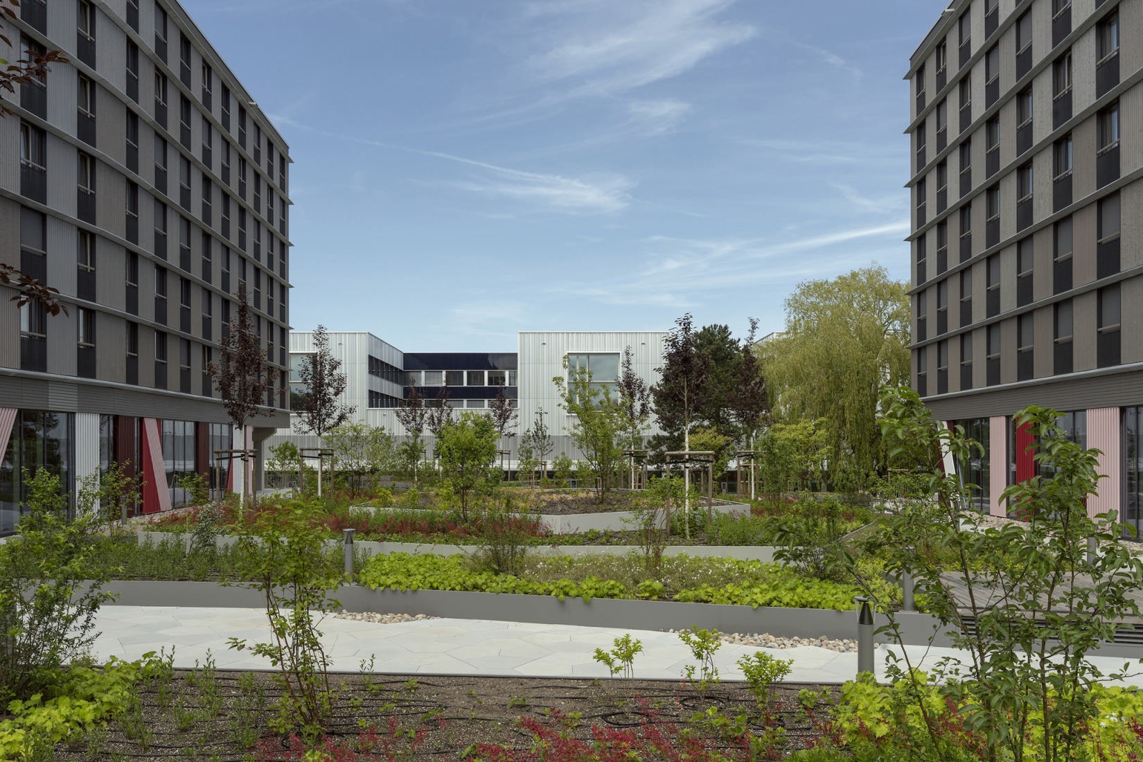 Federal University of Public Administration by Sauerbruch Hutton. Photograph by Jan Bitter.