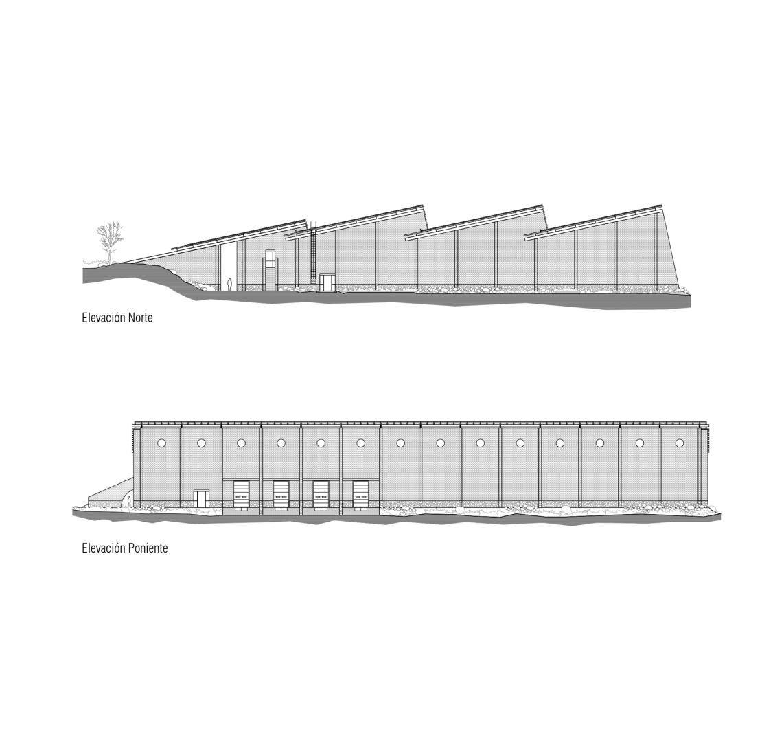 Alzado. Nave de envasado y oficinas para Clase Azul por ATELIER ARS. 