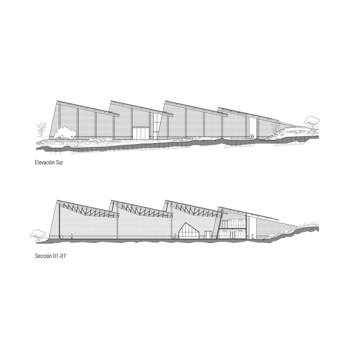 Alzado. Nave de envasado y oficinas para Clase Azul por ATELIER ARS.