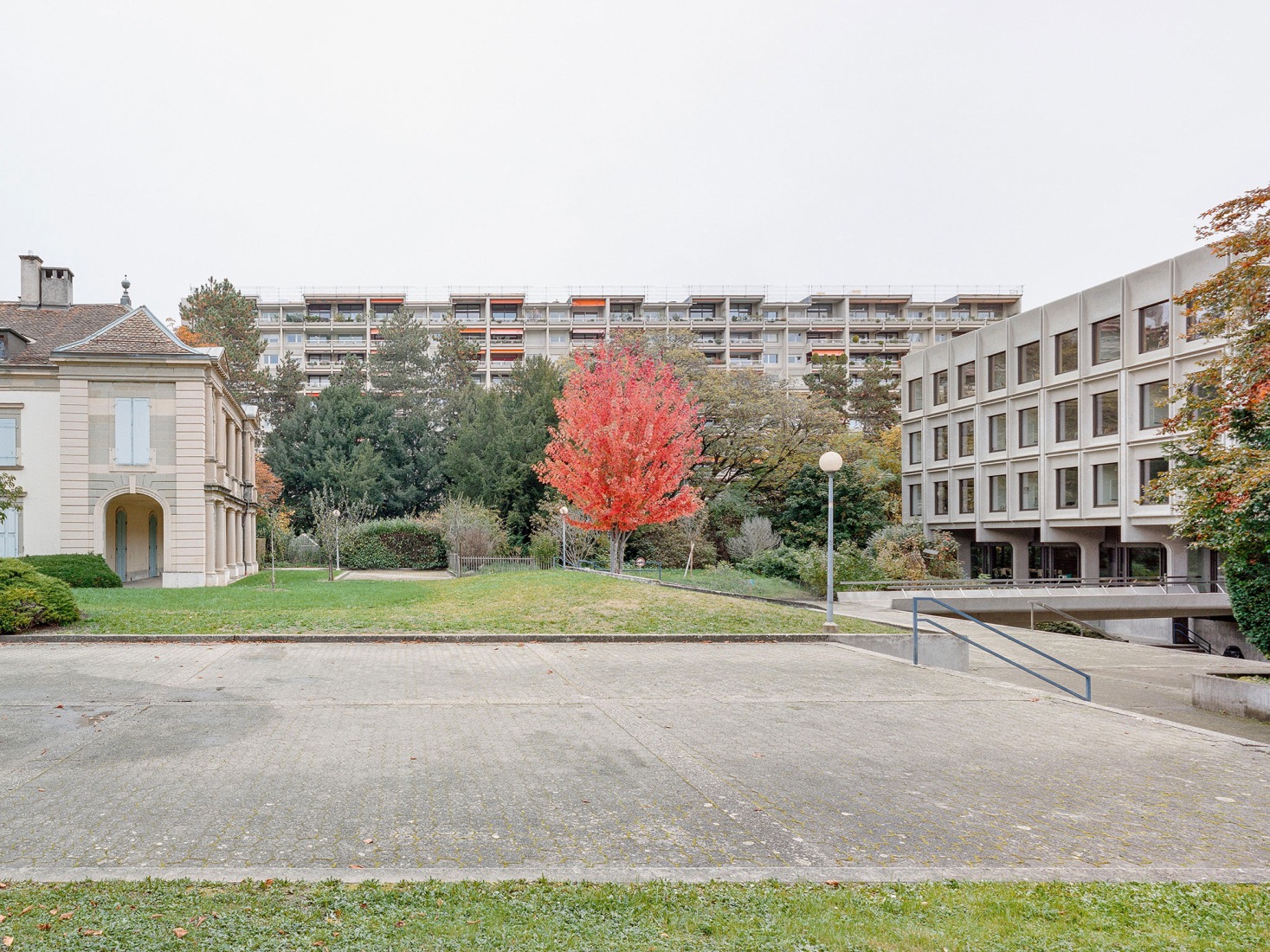 Vertical extension and renovation of Collège Rousseau by Burckhardt Architecture. Photography by Olivier Di Giambattista. 