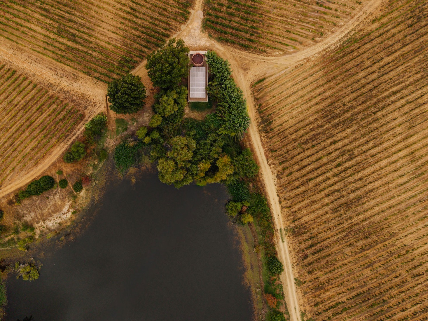 House with no skin by Bureau des Mésarchitectures. Photograph by Francisco Nogueira.