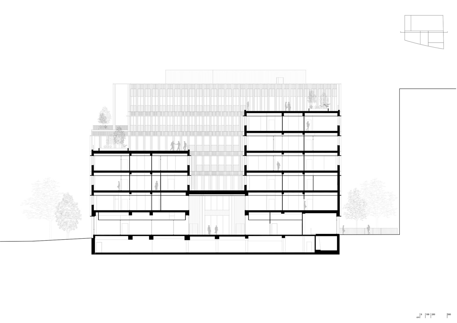 Section. Photograph by Agnès Clotis.