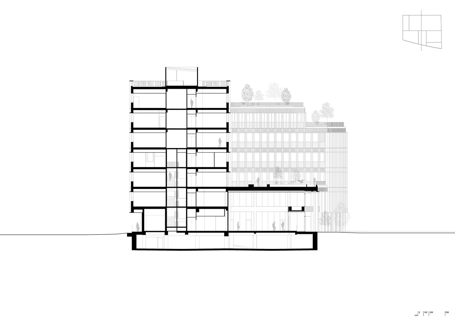 Section. Photograph by Agnès Clotis.