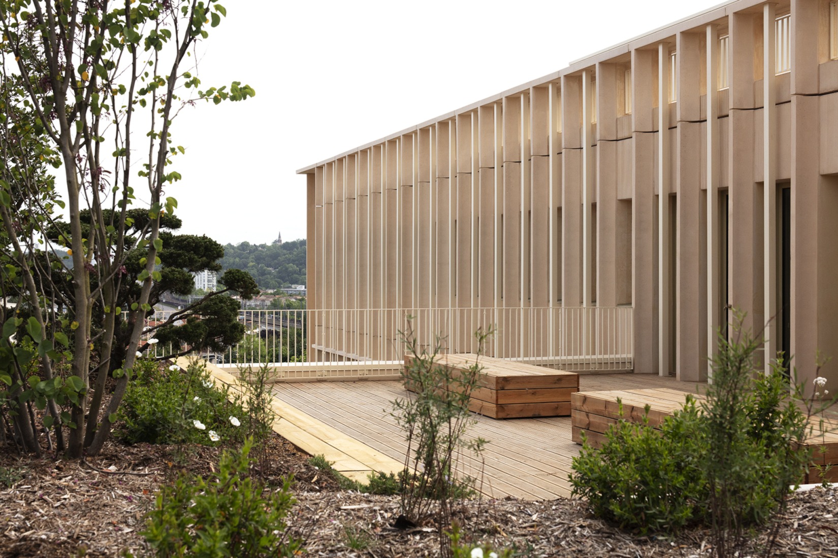Section. Photograph by Agnès Clotis.