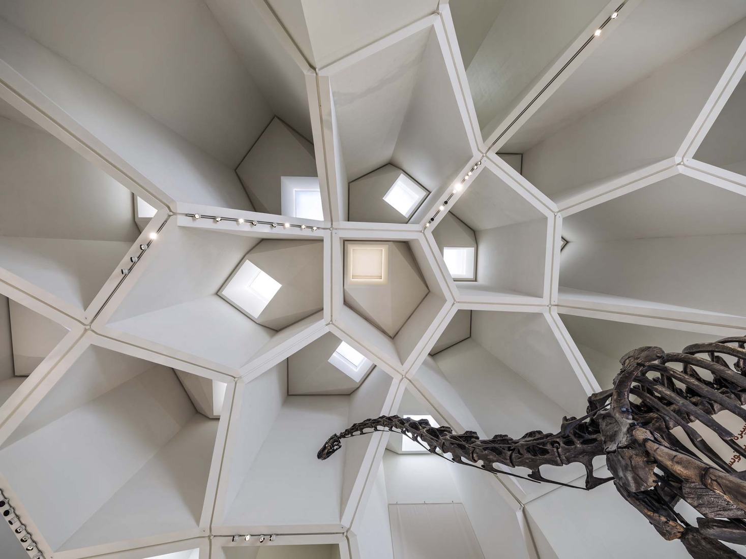 Museo de Historia Natural de Abu Dabi por Mecanoo. Fotografía por Ossip Architectuurfotografie.