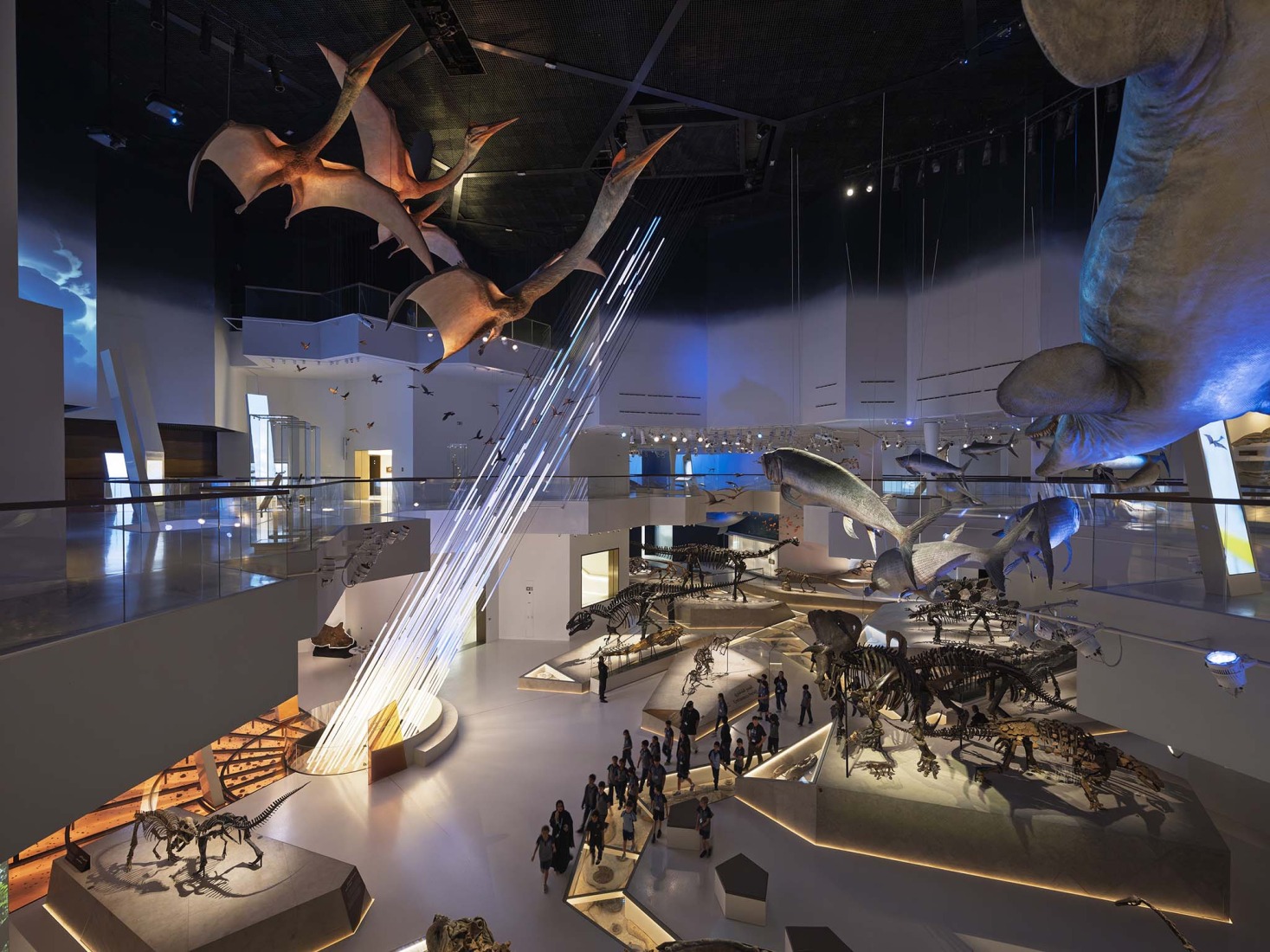 Museo de Historia Natural de Abu Dabi por Mecanoo. Fotografía por Ossip Architectuurfotografie.