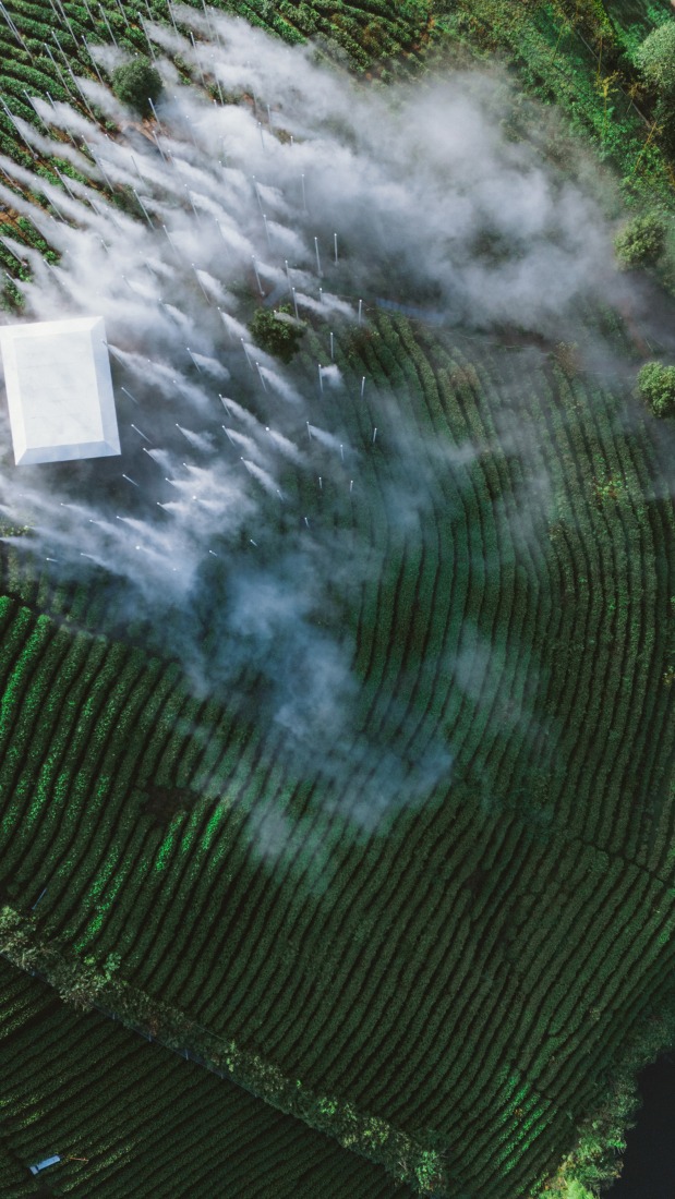 "Cloud Tea Room" by PLAT ASIA. Photograph by YIXINJIA.
