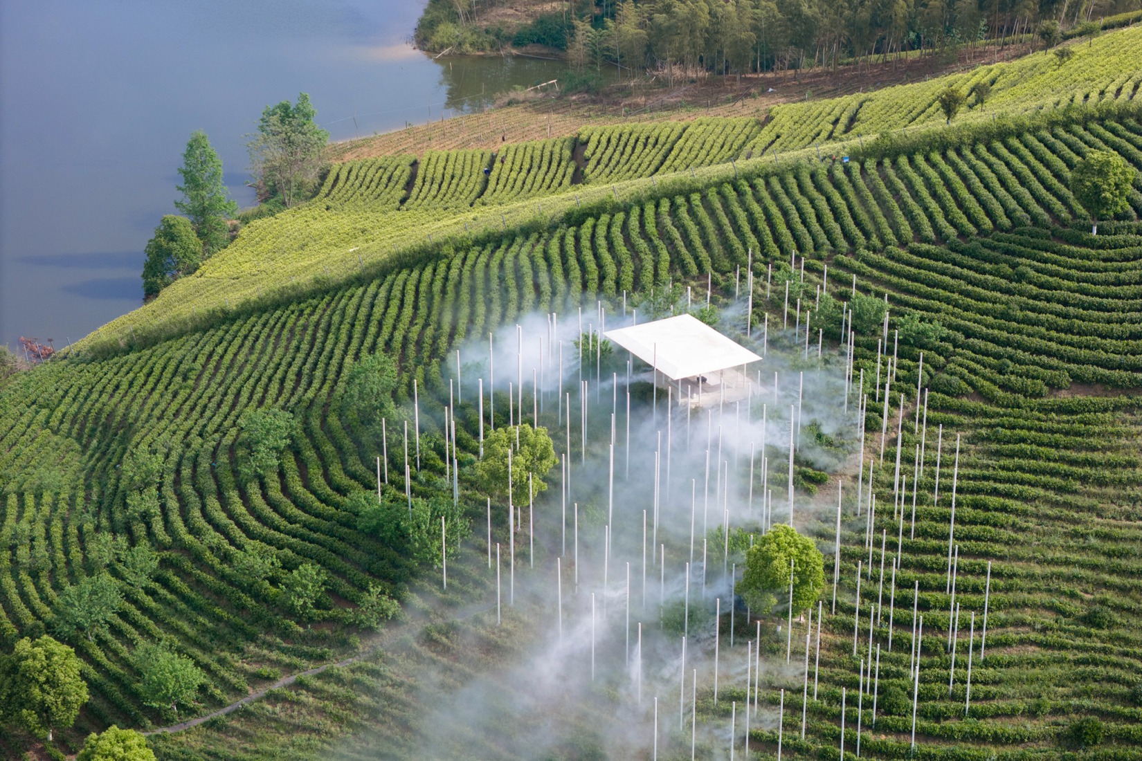 "Cloud Tea Room" by PLAT ASIA. Photograph by Arch-Exist Photography.