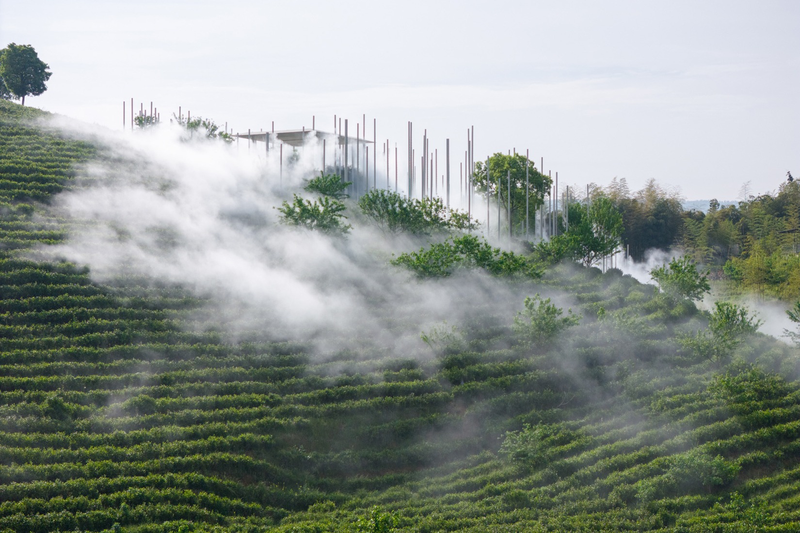 "Cloud Tea Room" by PLAT ASIA. Photograph by Arch-Exist Photography.