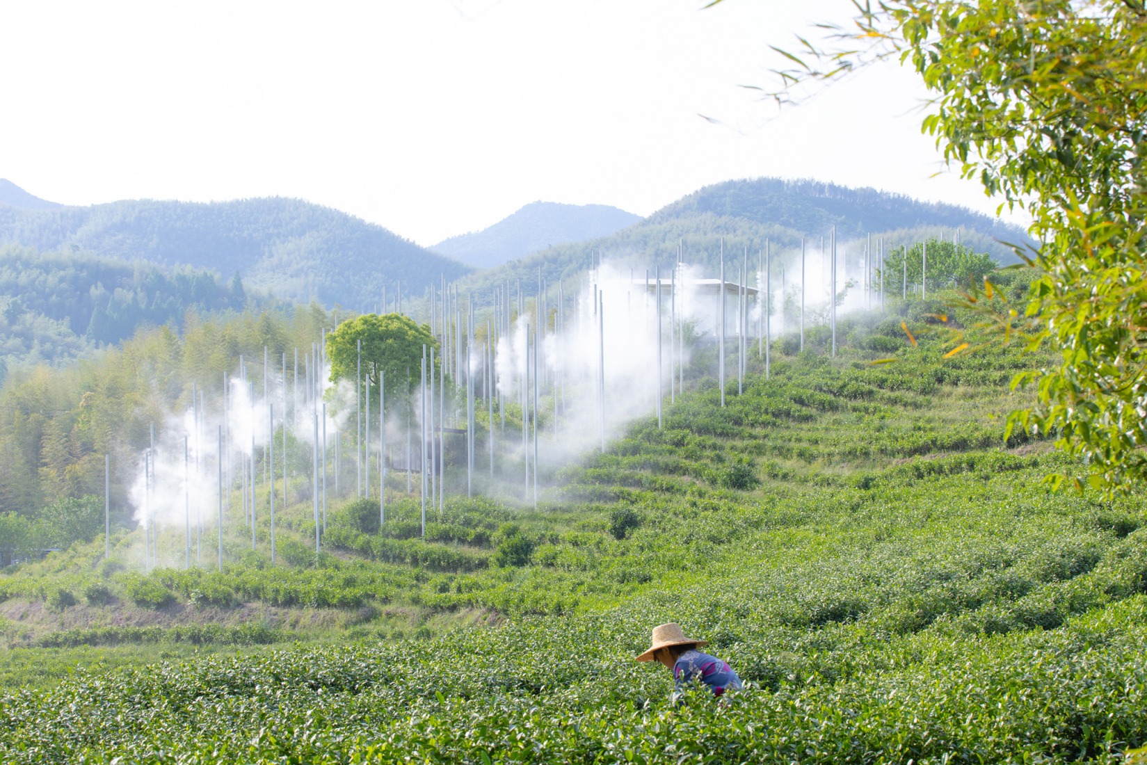 "Cloud Tea Room" by PLAT ASIA. Photograph by Arch-Exist Photography.