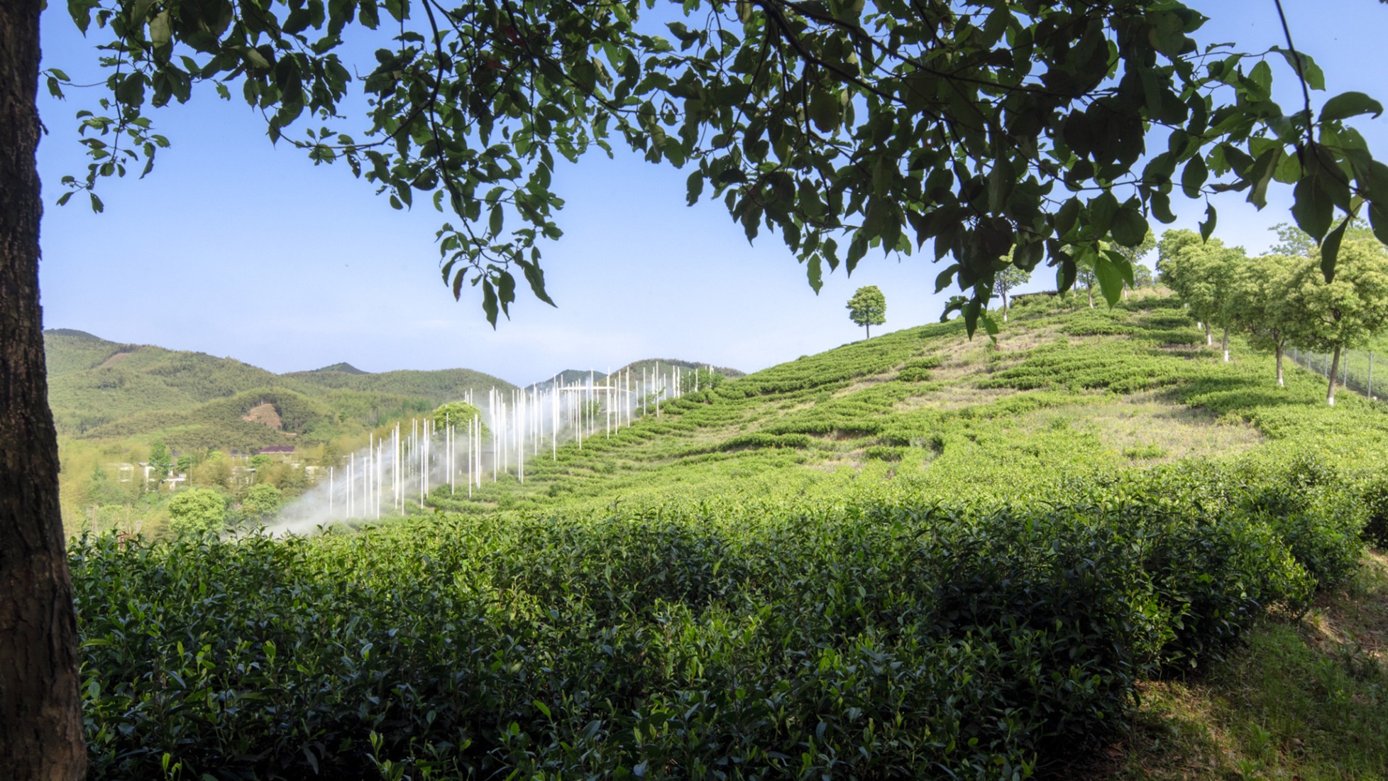 "Cloud Tea Room" by PLAT ASIA. Photograph by Arch-Exist Photography.