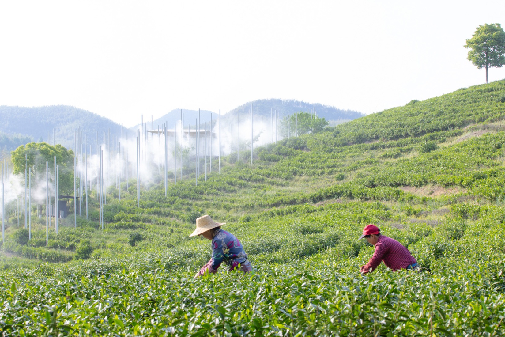 "Cloud Tea Room" by PLAT ASIA. Photograph by Arch-Exist Photography.