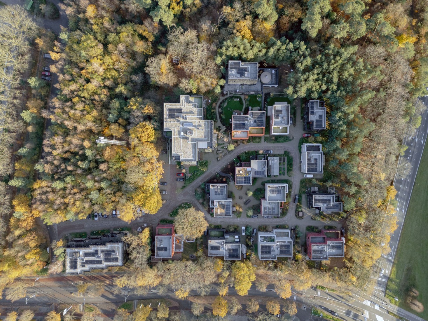 «Common Woods» por Space&Matter. Fotografía por Riccardo De Vecchi.