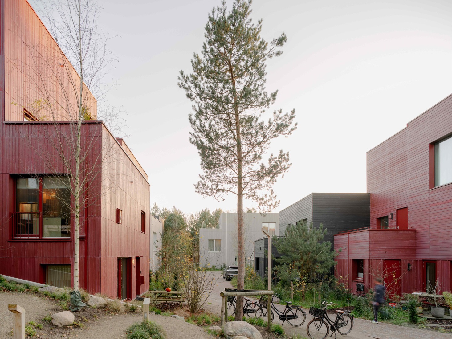 «Common Woods» por Space&Matter. Fotografía por Riccardo De Vecchi.