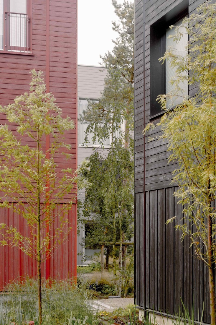 «Common Woods» por Space&Matter. Fotografía por Riccardo De Vecchi.