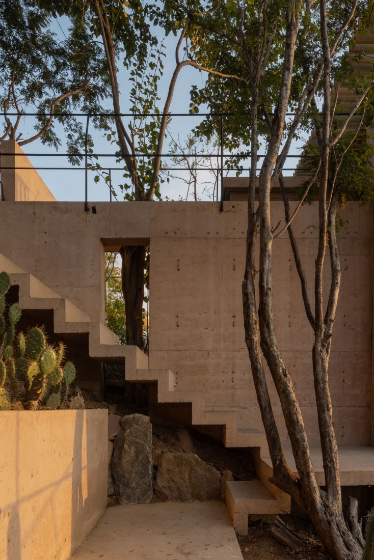 Ten feet House by Studio Font. Photograph by Alber Studio.