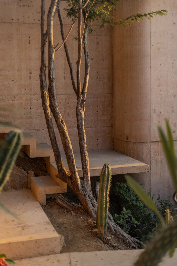 Ten feet House by Studio Font. Photograph by Alber Studio.