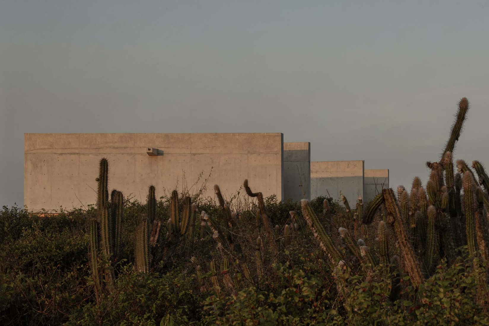 Casa Macahuite por Studiofont. Fotografía por Alber Studio.