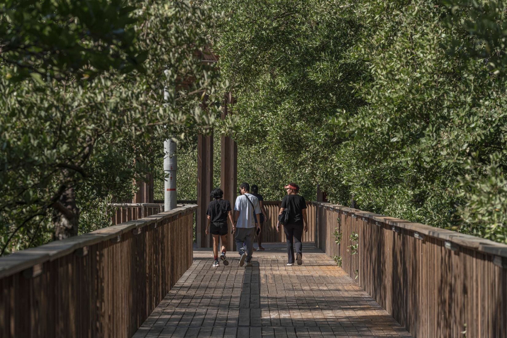 Ecoparque Ciénaga de Mallorquín por DEB Architecture + El Equipo Mazzanti. Fotografía por Alejandro Arango.