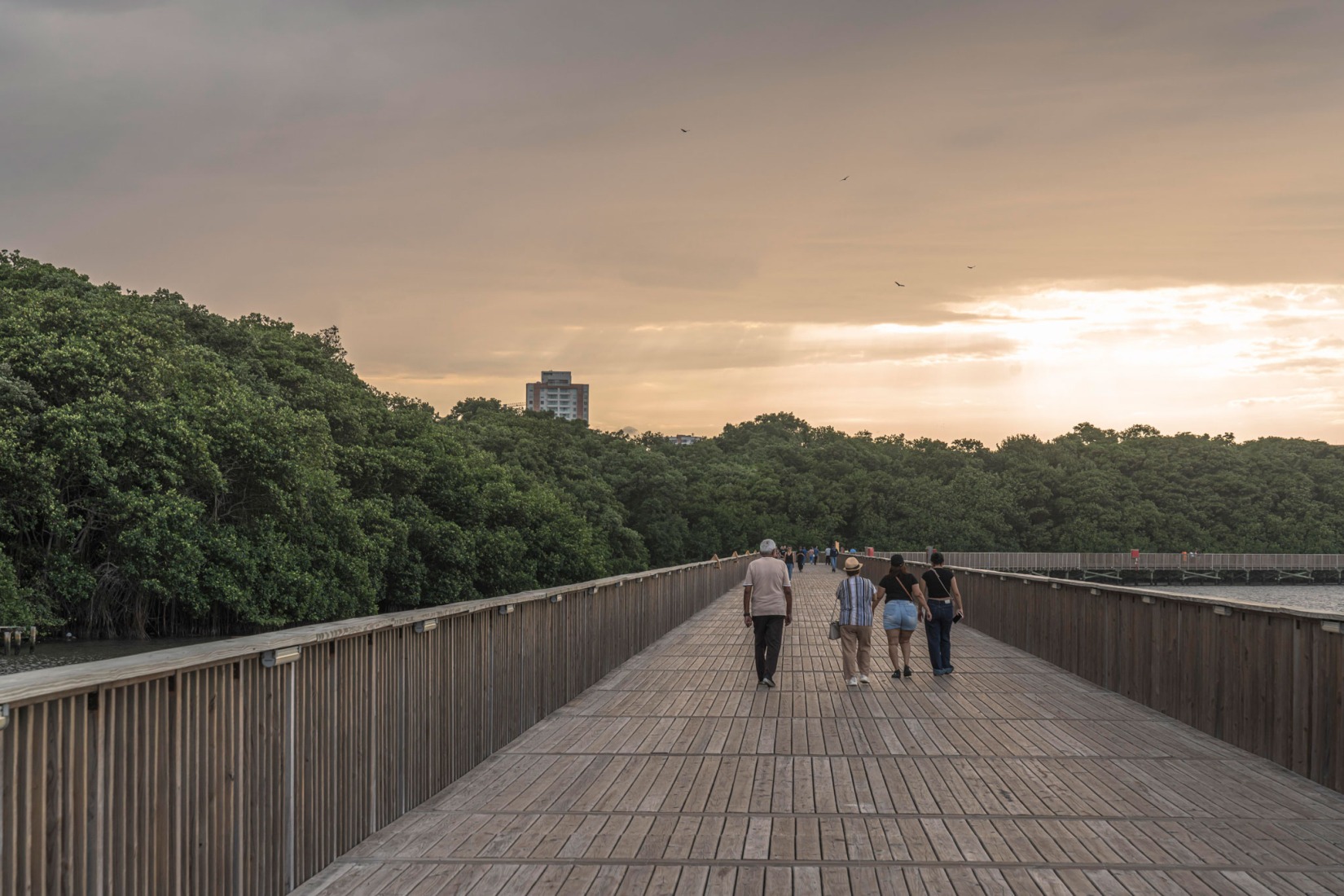 Ecoparque Ciénaga de Mallorquín por DEB Architecture + El Equipo Mazzanti. Fotografía por Alejandro Arango.
