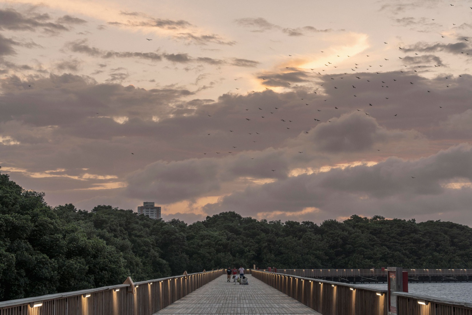 Ecoparque Ciénaga de Mallorquín por DEB Architecture + El Equipo Mazzanti. Fotografía por Alejandro Arango.