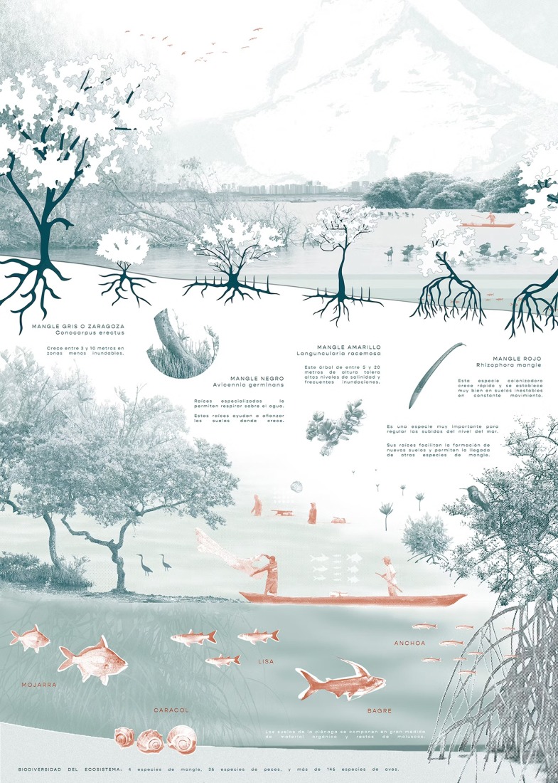 Ecoparque Ciénaga de Mallorquín por DEB Architecture + El Equipo Mazzanti. 