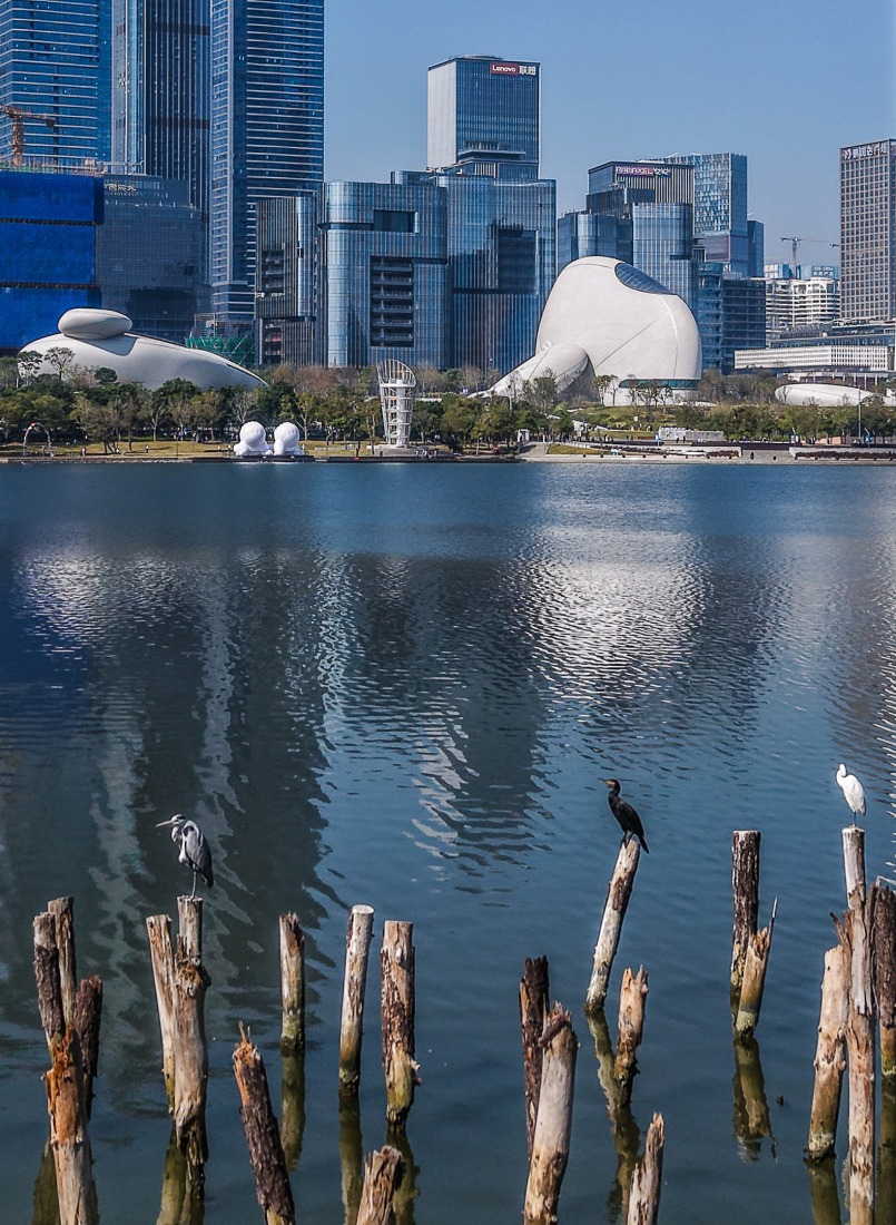 Plaza Cultural de la Bahía de Shenzhen por MAD. Fotografía por HertZest Zhang Taotao.