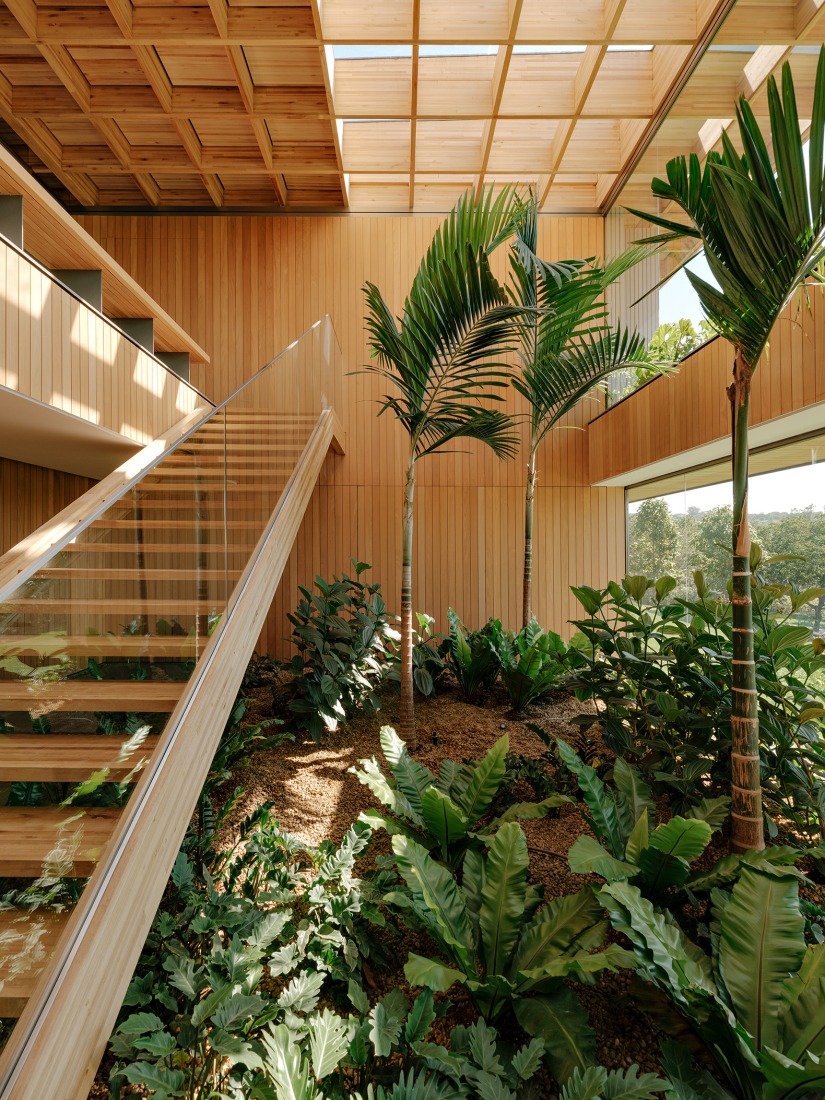 "Casa Colmeia" by Sabella Arquitetura. Photograph by Fran Parente. 