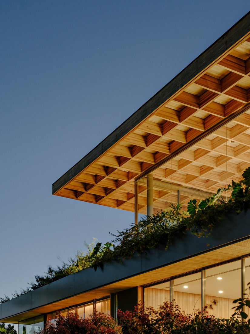 "Casa Colmeia" by Sabella Arquitetura. Photograph by Fran Parente. 