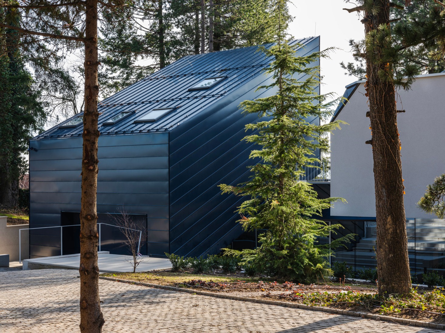 Curious House by FORVM arhitektura. Photograph by Bosnic+Dorotic.
