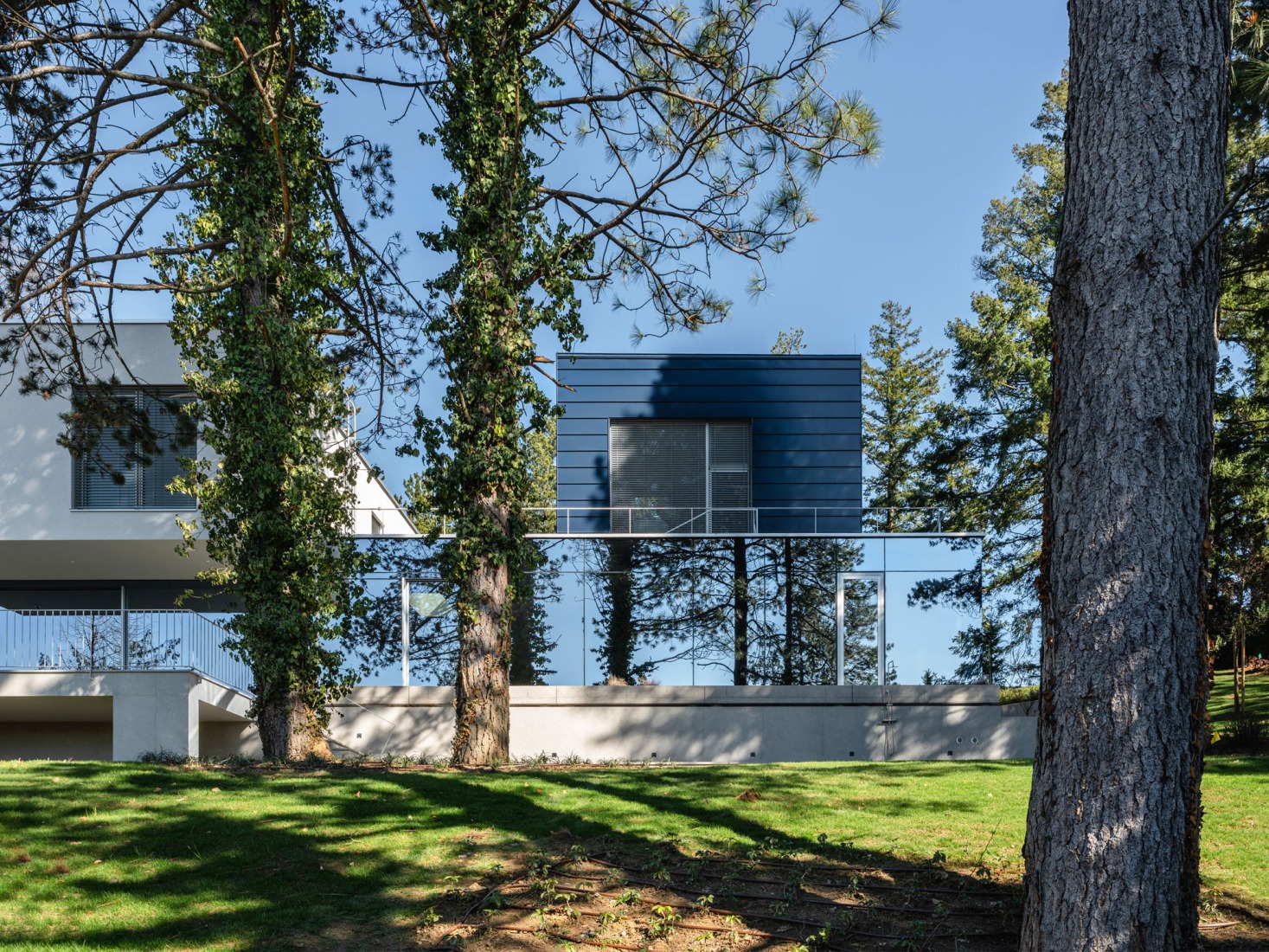 Curious House by FORVM arhitektura. Photograph by Bosnic+Dorotic.
