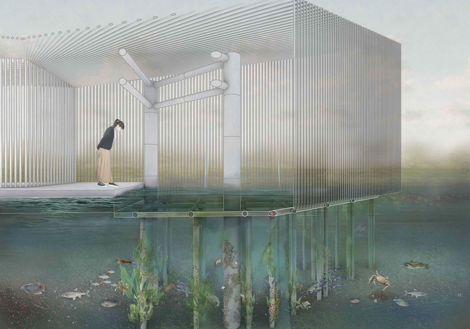 Design showing ecological ponds that restore habitats for aquatic species. Pattani Fishermen Community Hub by HAS design and research.