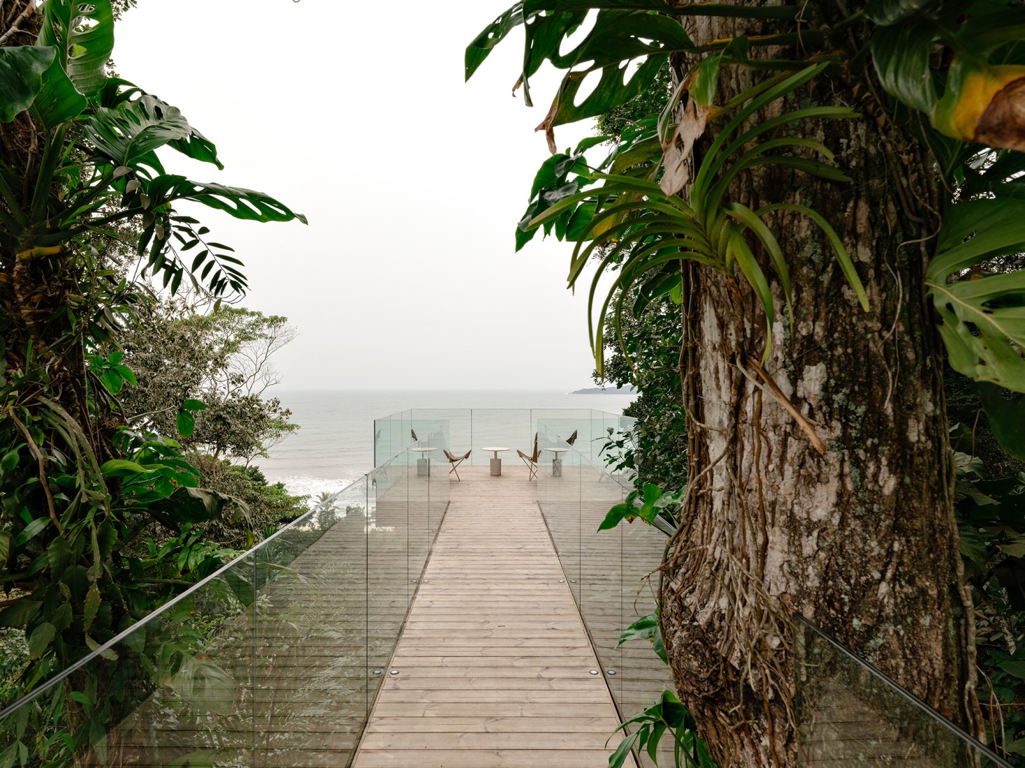 House LWF by Patrícia Martinez Arquitetura. Photograph by Fran Parente.