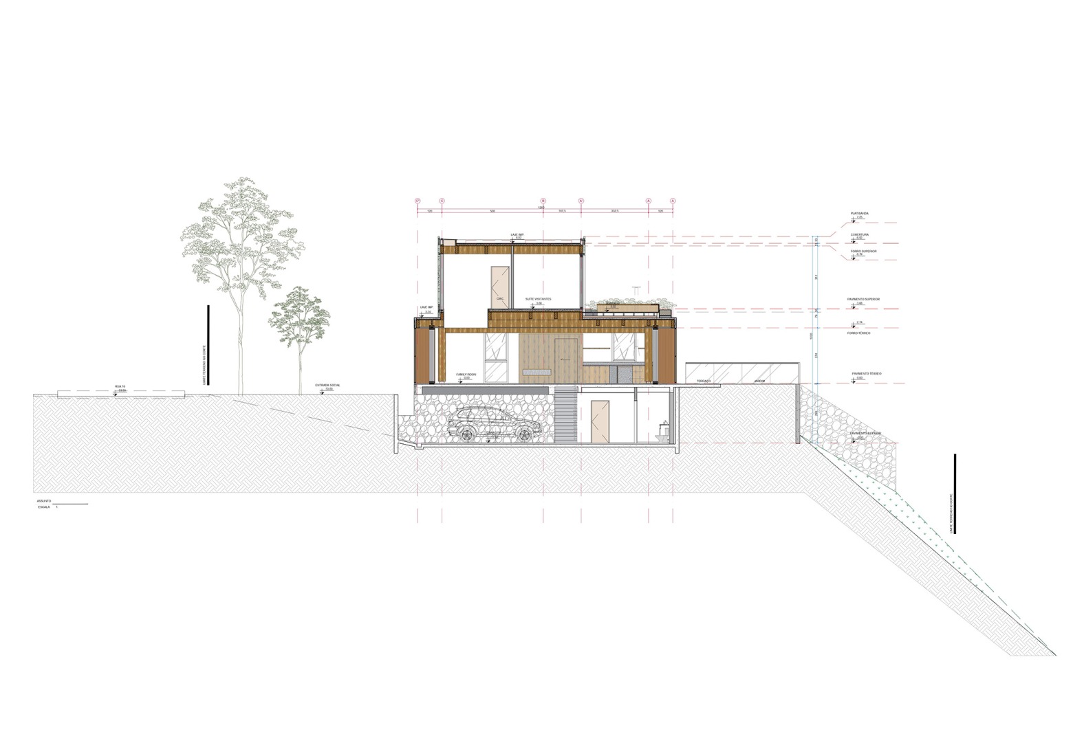 Section. House LWF by Patrícia Martinez Arquitetura. 