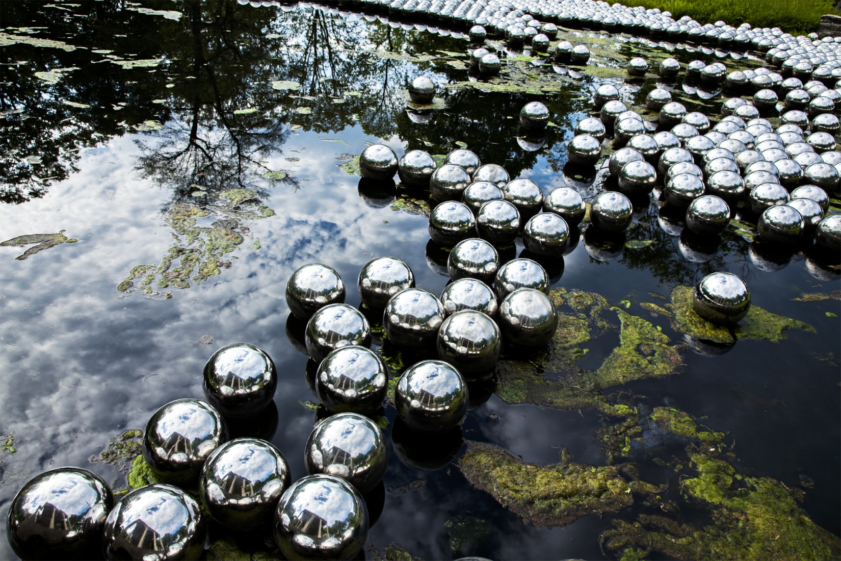 Detalle del Jardín de Narcisos de Yayoi Kusama. Fotografía por Matthew Placek.