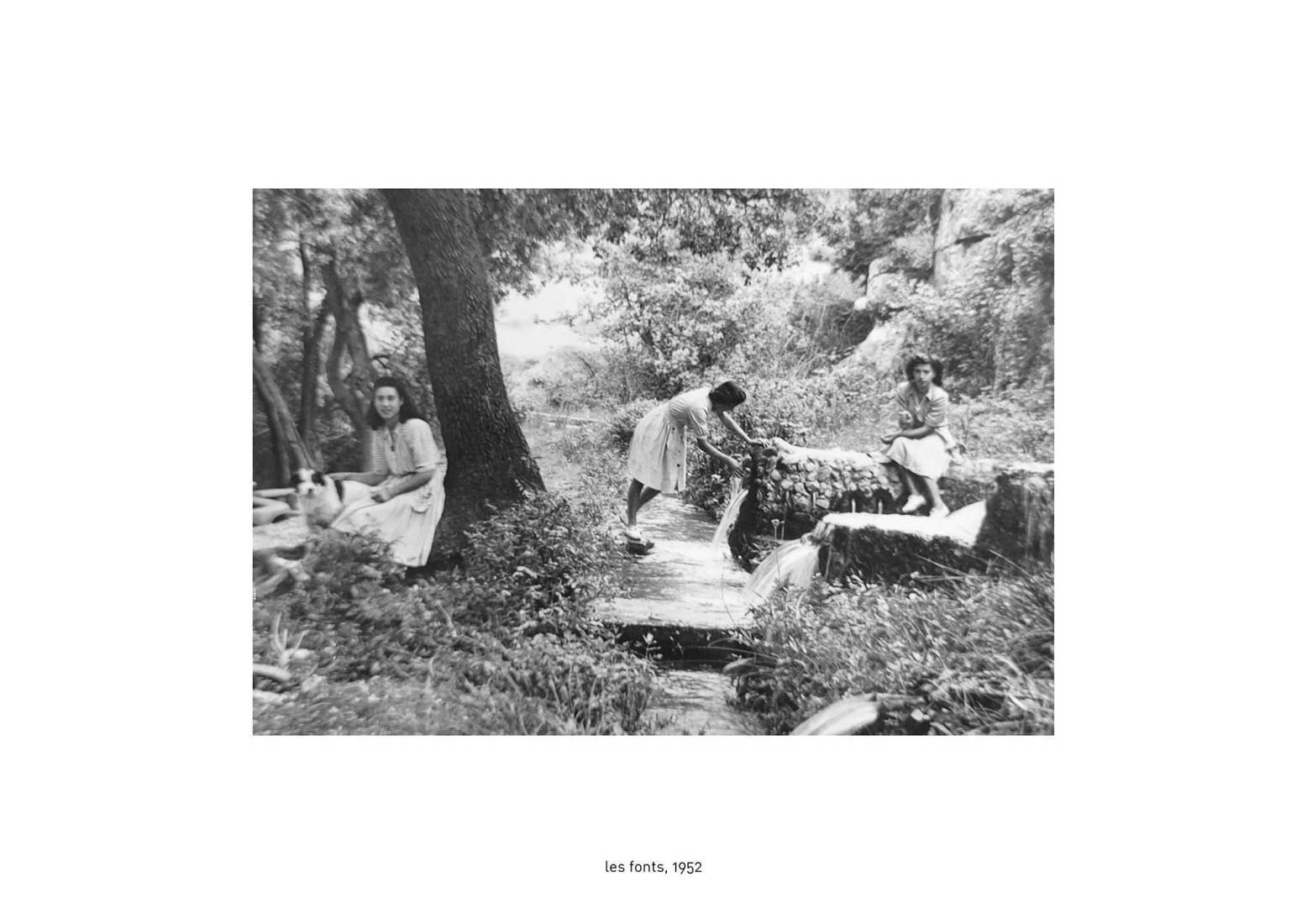The Springs of Rellinars, 1952.