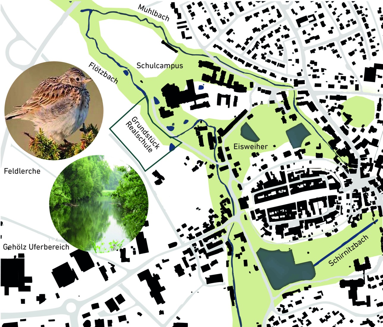 Biodiversity as trigger sketch. "Staatliche Realschule Kemnath" by ALN + Gutiérrez-delaFuente.