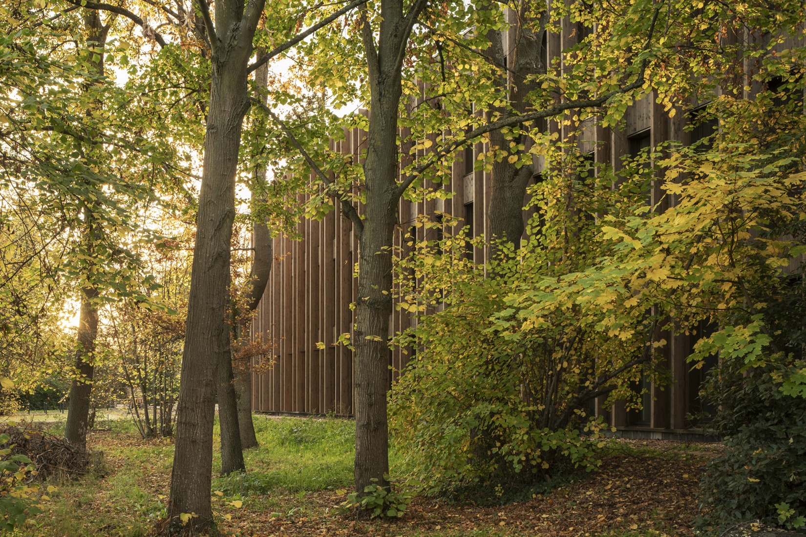 IXCAMPUS by Baumschlager Eberle Architekten. Photograph by Cyrille Weiner.