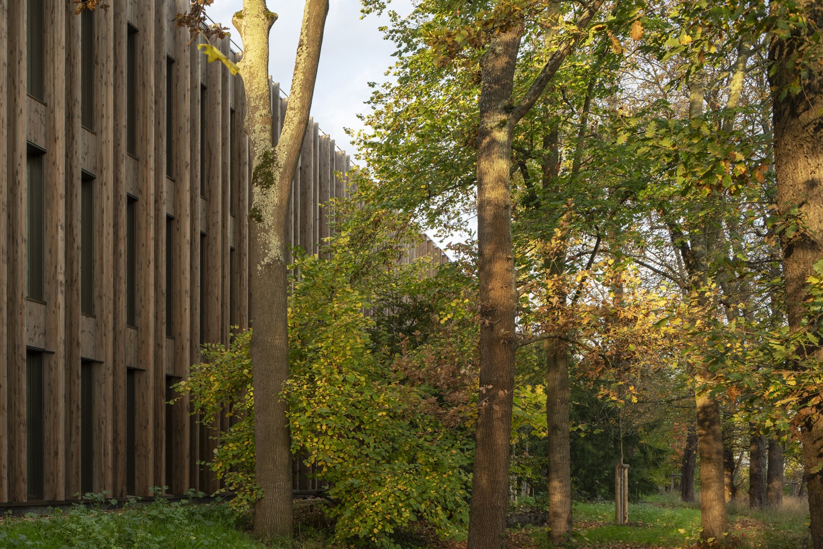 IXCAMPUS by Baumschlager Eberle Architekten + SAME. Photograph by Cyrille Weiner.