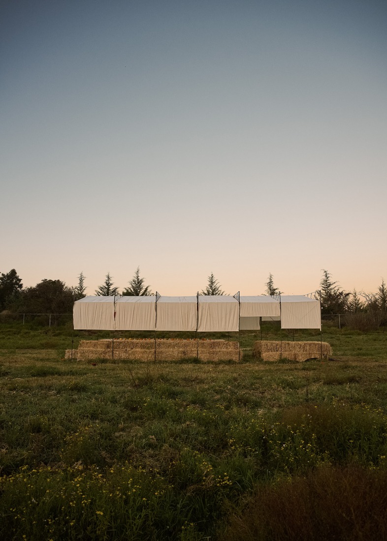 Cempasúchil Pavilion by COLAR Colectivo de Arquitectura. Photograph by Edgar García. 