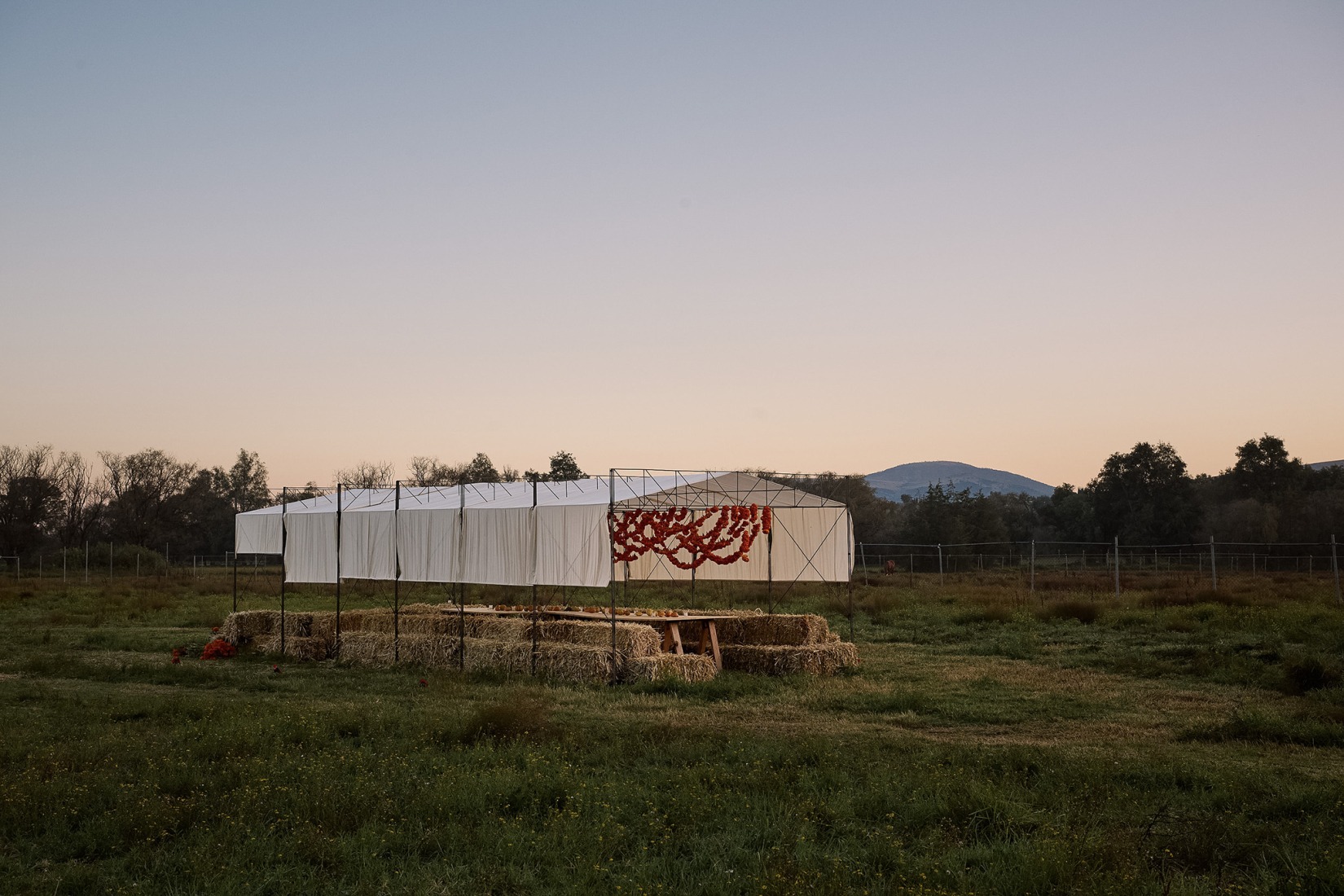 Cempasúchil Pavilion by COLAR Colectivo de Arquitectura. Photograph by Edgar García. 