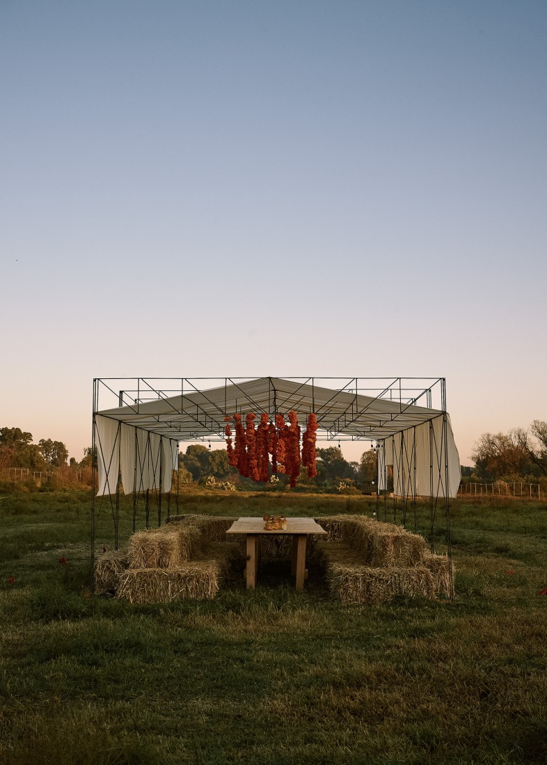 Cempasúchil Pavilion by COLAR Colectivo de Arquitectura. Photograph by Edgar García. 