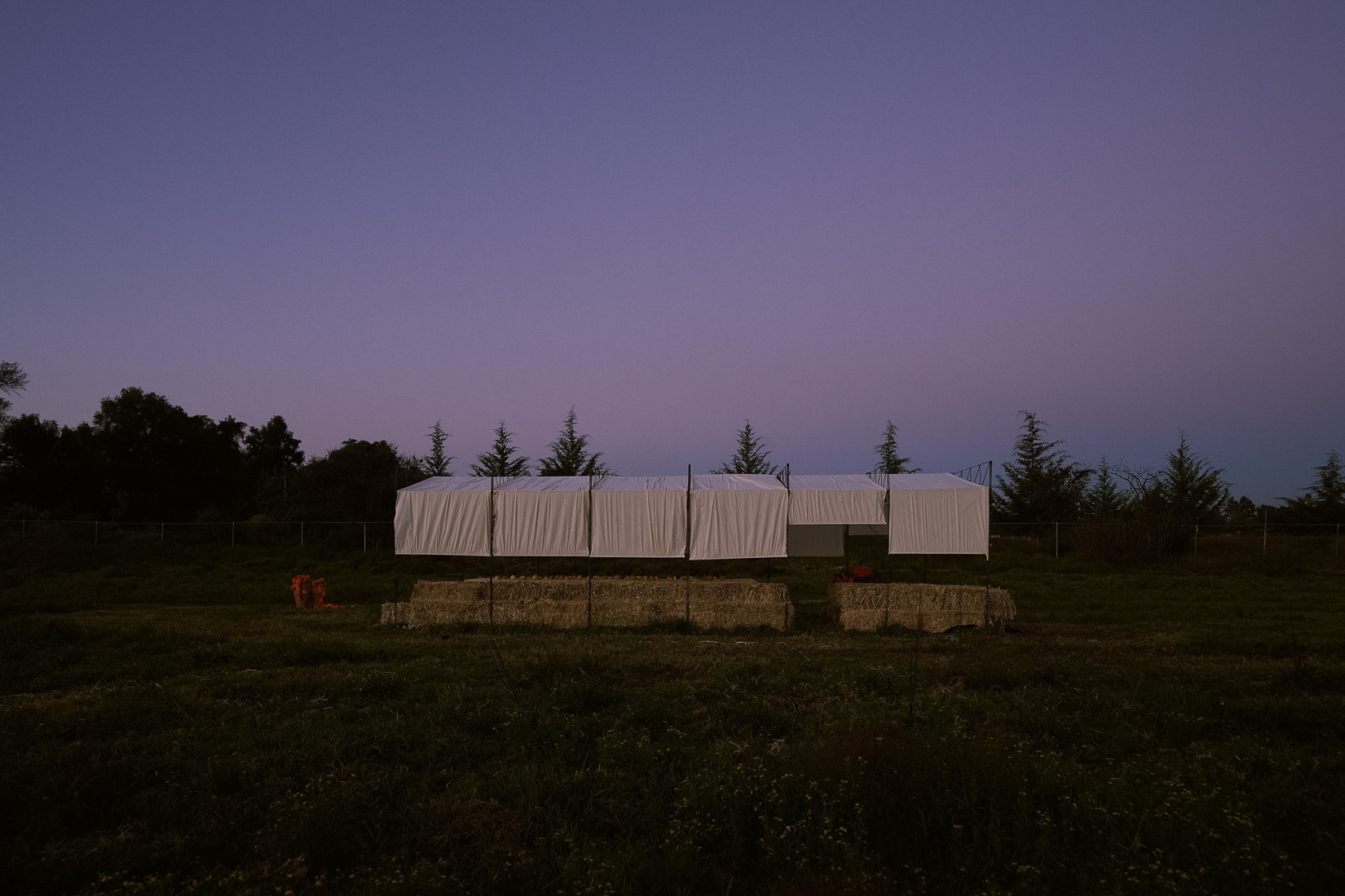 Cempasúchil Pavilion by COLAR Colectivo de Arquitectura. Photograph by Edgar García. 