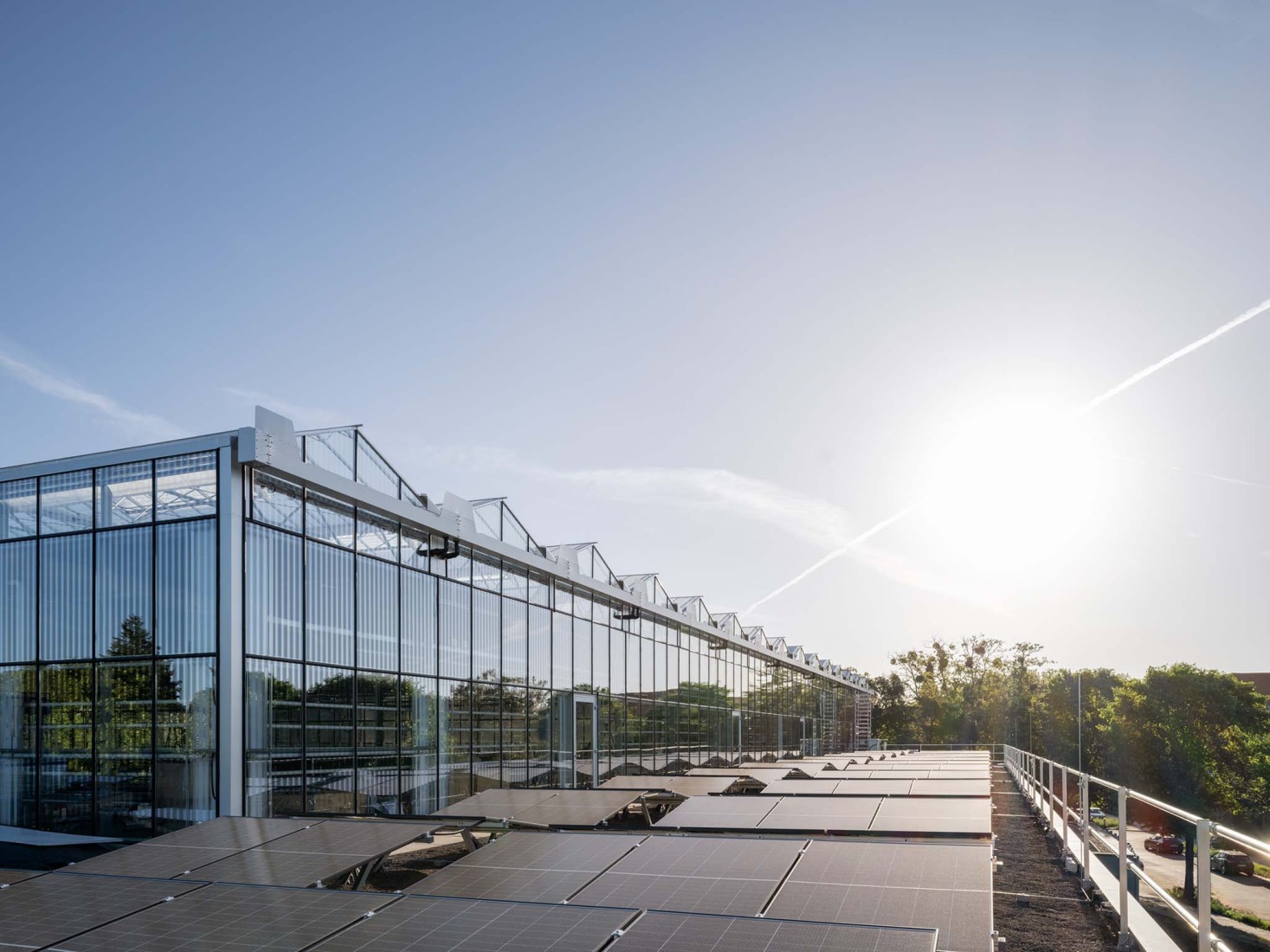 REWE Green Farming Berlin by ACME. Photograph by Fritz Brunier.  