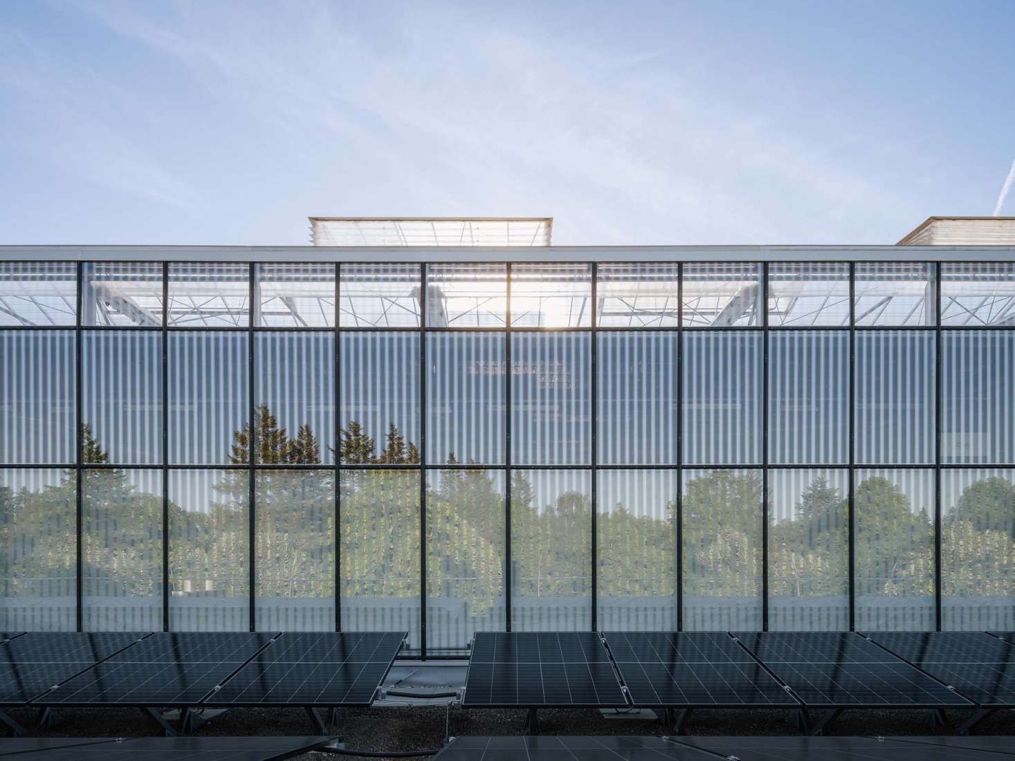 REWE Green Farming Berlin by ACME. Photograph by Fritz Brunier.  