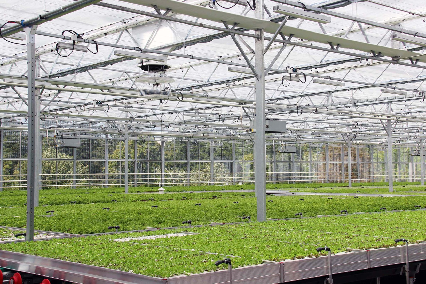 REWE Green Farming Berlin by ACME. Photograph by REWE.   