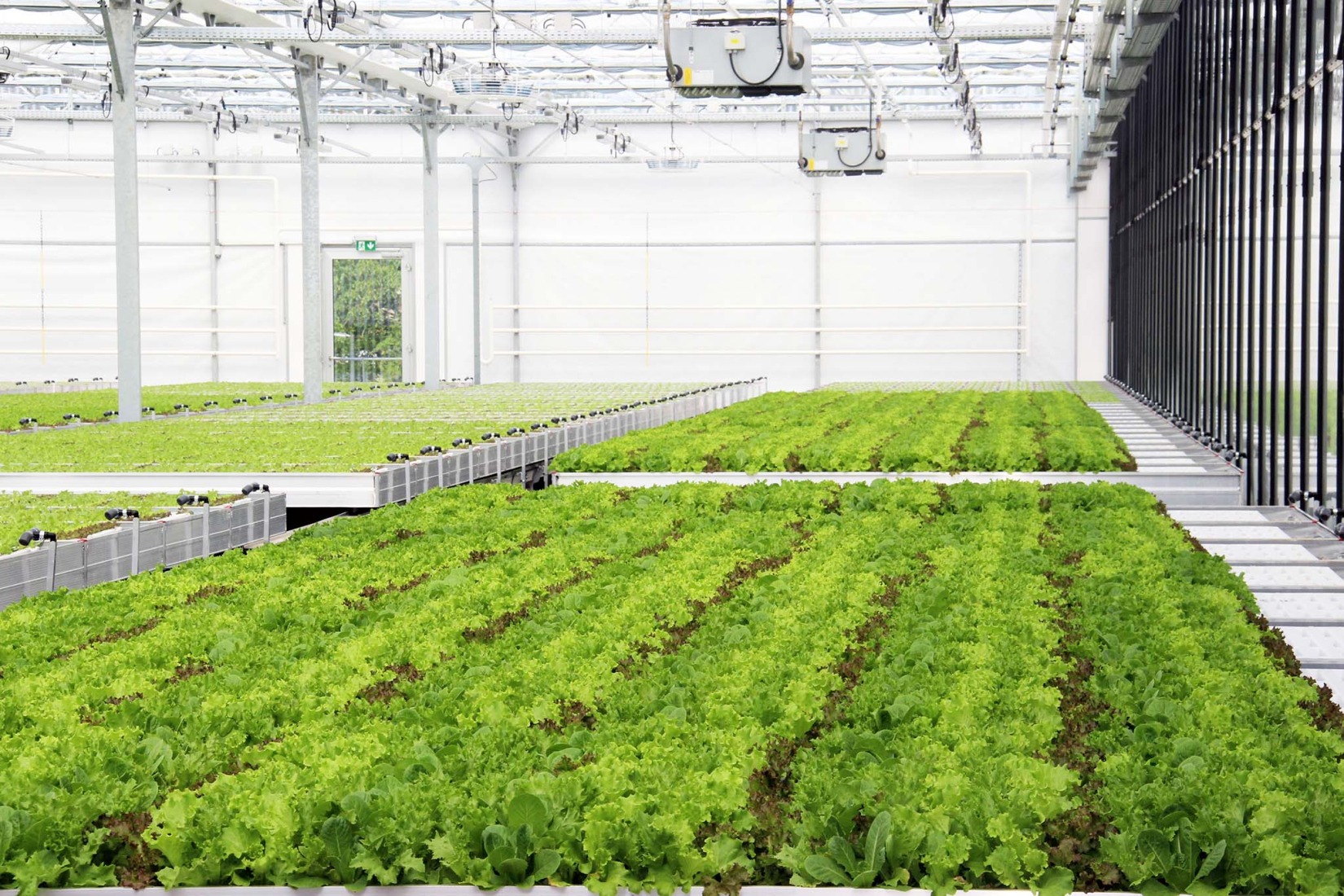 REWE Green Farming Berlin by ACME. Photograph by REWE.   