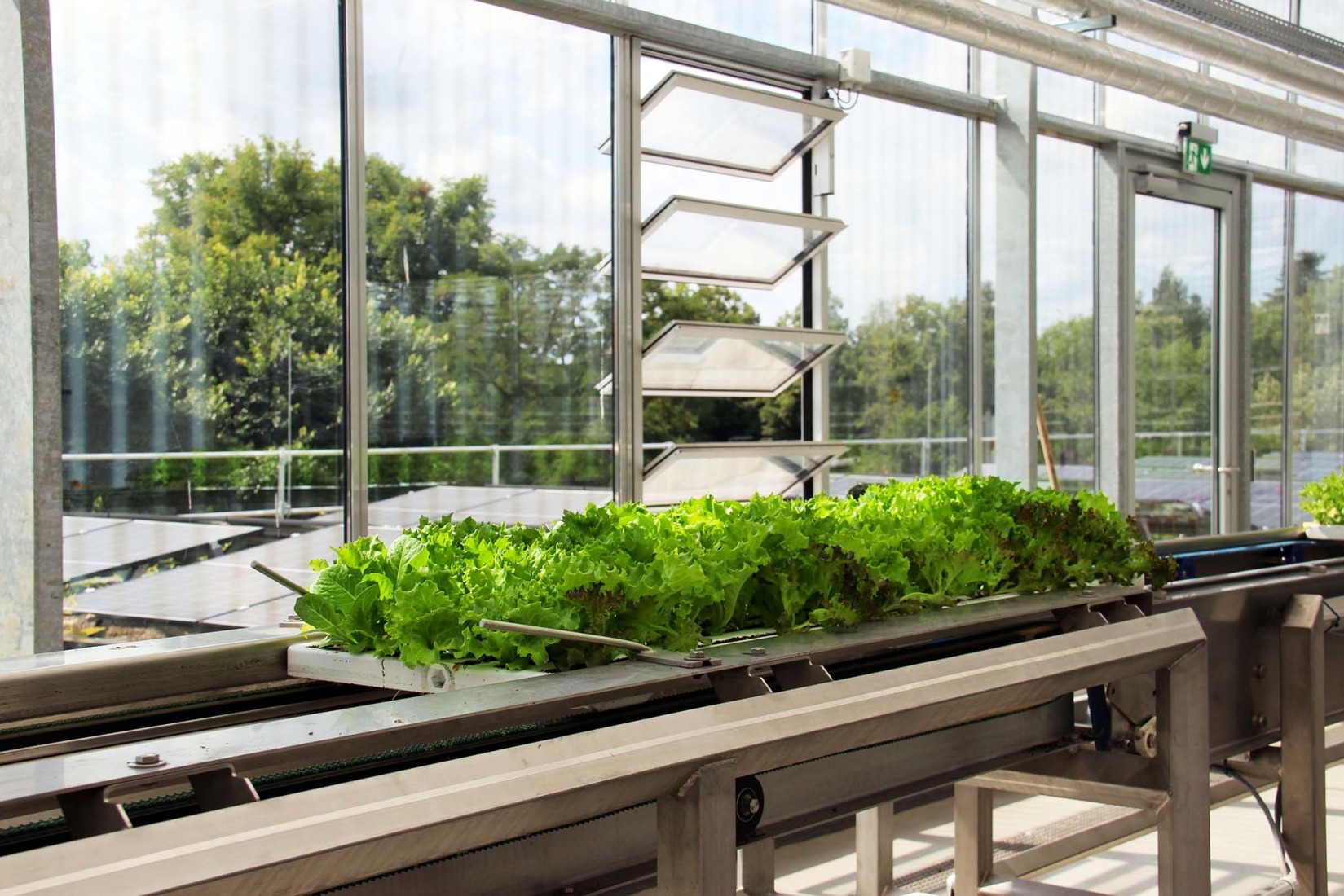 REWE Green Farming Berlin by ACME. Photograph by REWE.   