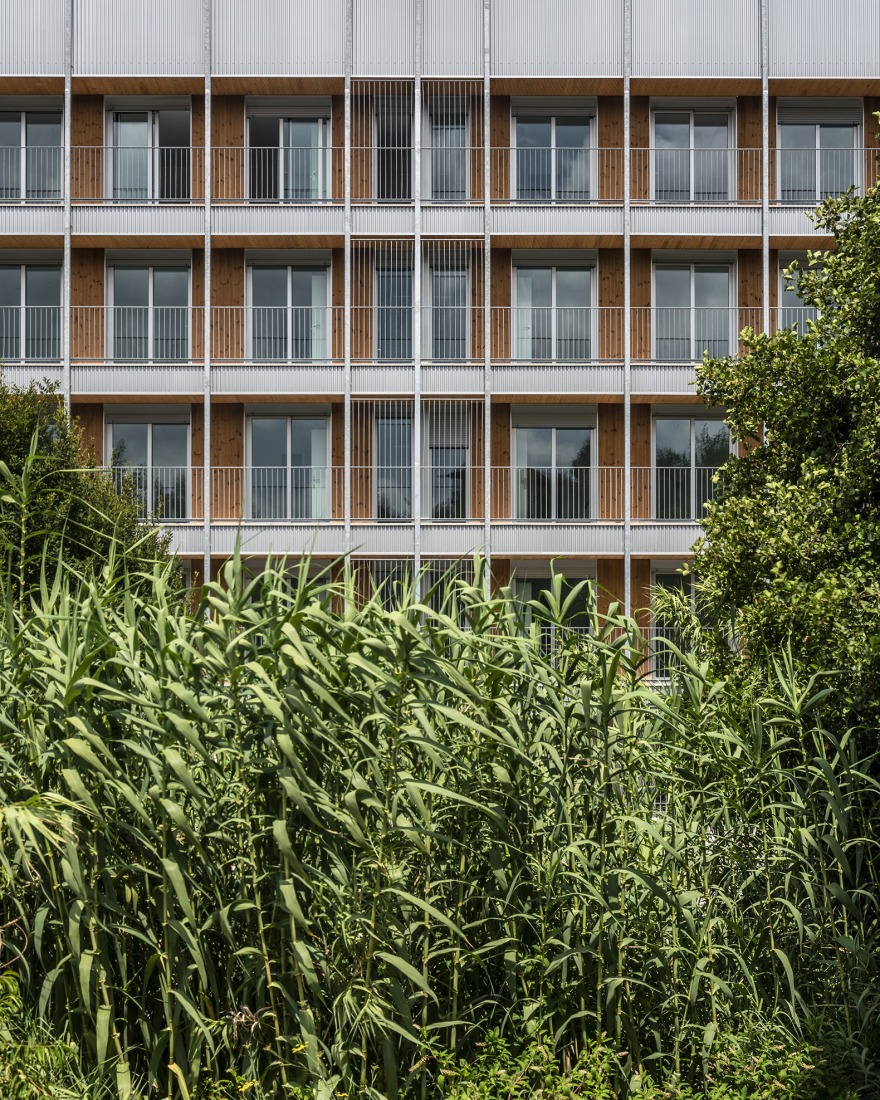 4 edificios de 74 viviendas sociales en Valdecorvos por Díaz y Díaz Arquitectos. Fotografía por Héctor Santos-Díez.