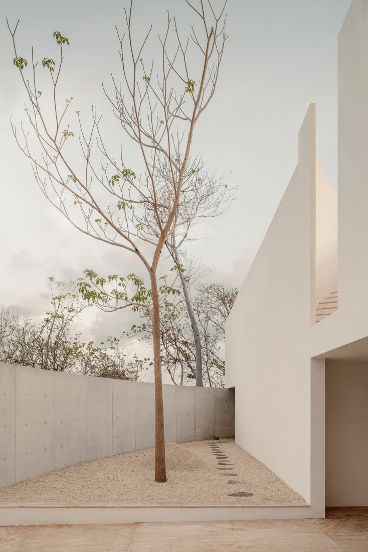 Malonic House by HW Studio. Photograph by César Béjar.
